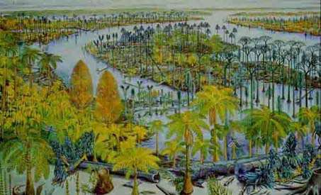 Landscape environment of coal formation