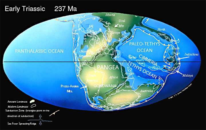  The Early Triassic World